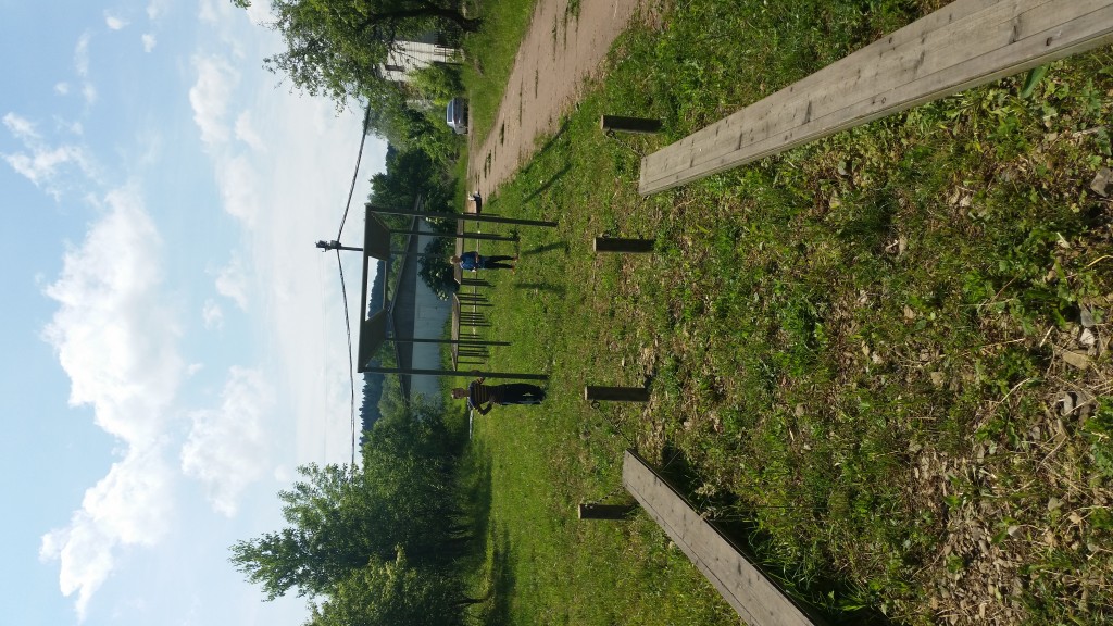 20160604_113629