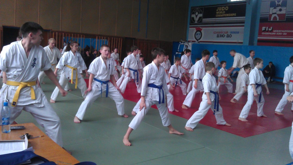 IMAG1536