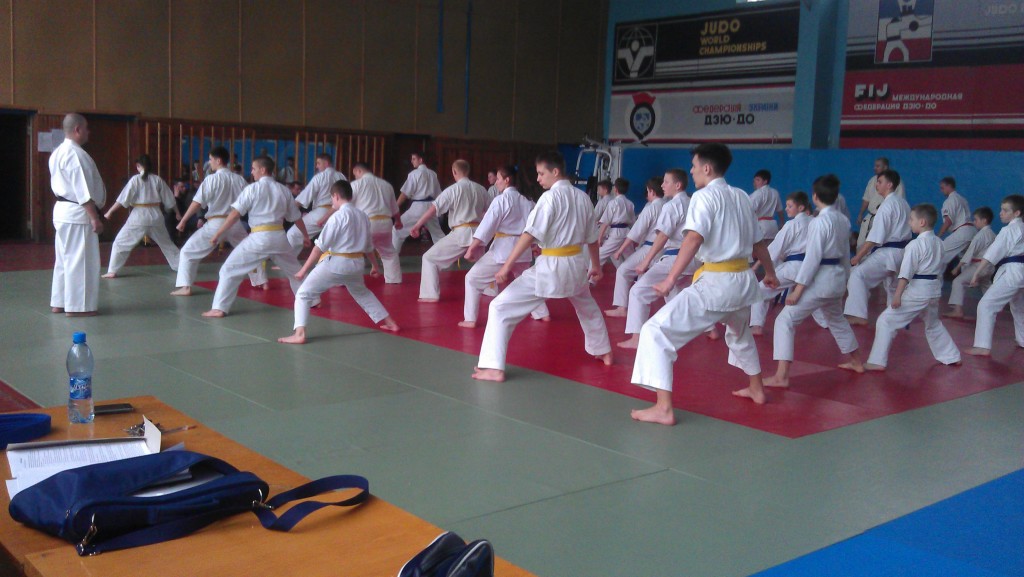 IMAG1541
