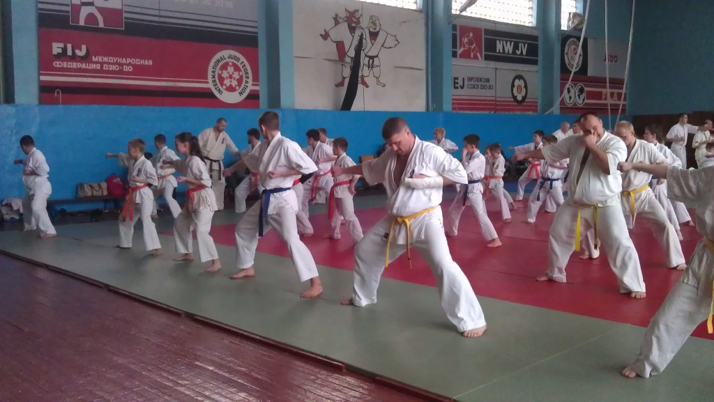 IMAG1545