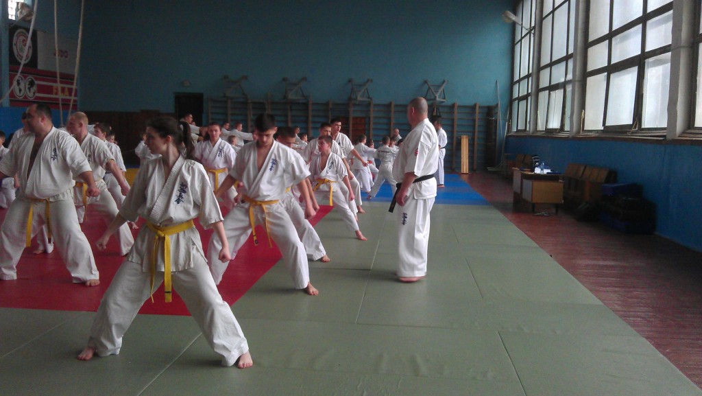 IMAG1546