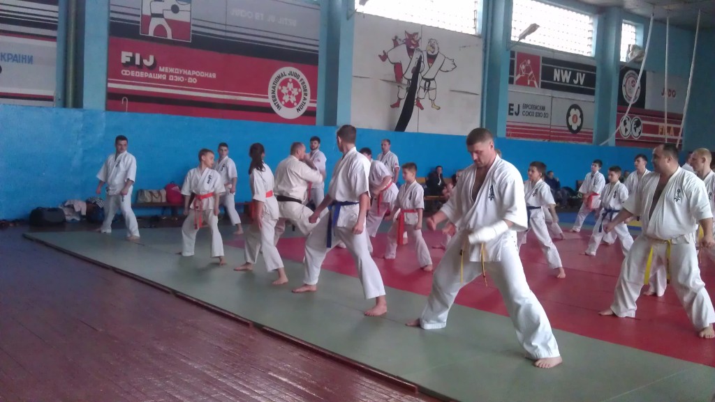 IMAG1548