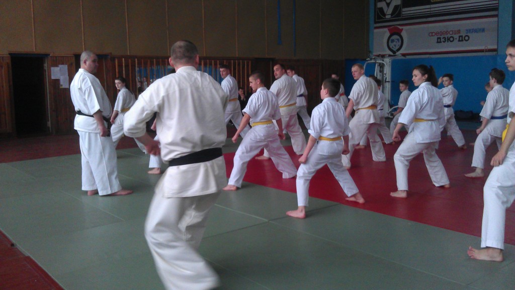 IMAG1551