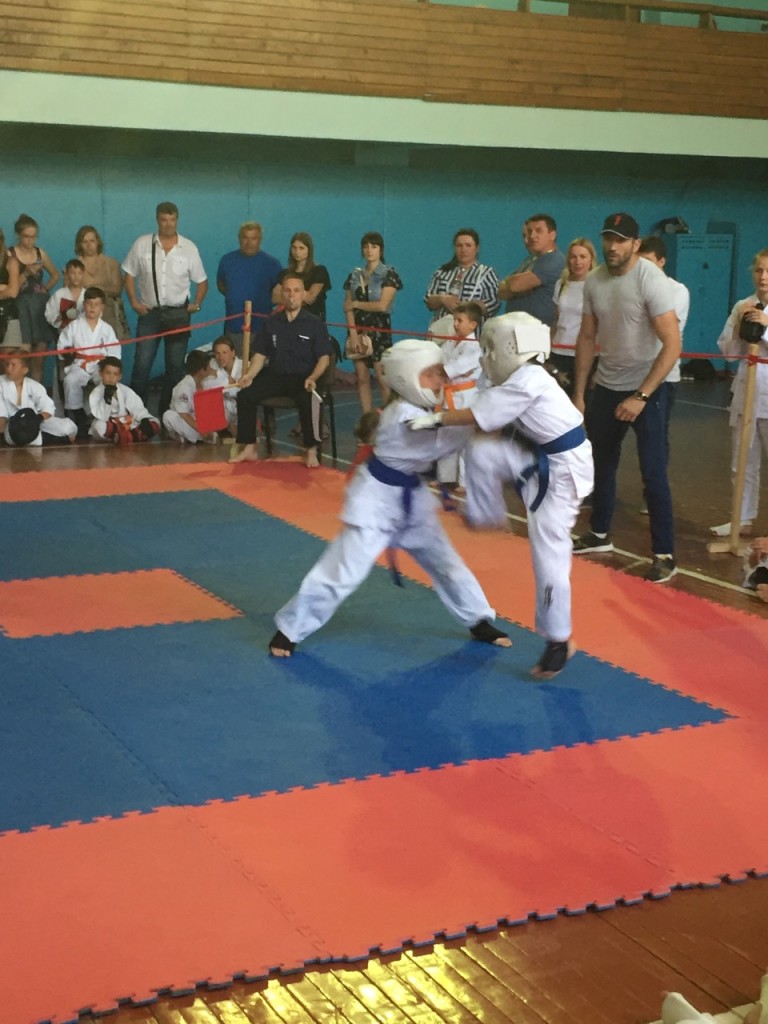 IMG-5014bea21f0a544827a755491f66d687-V