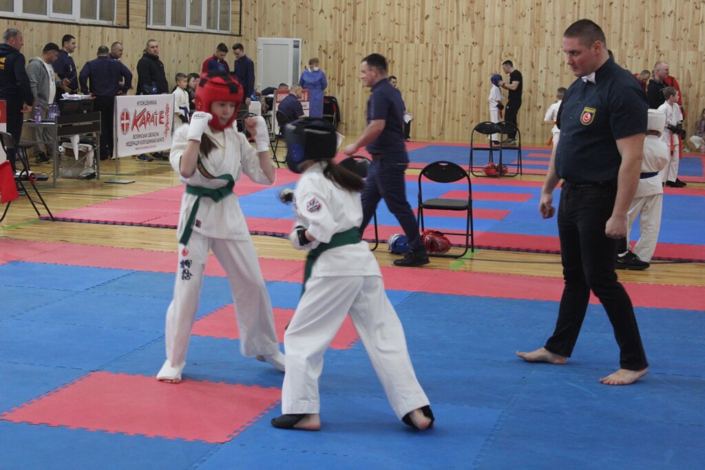 IMG-74ee95f183211b3d491cacfd1d17d00c-V