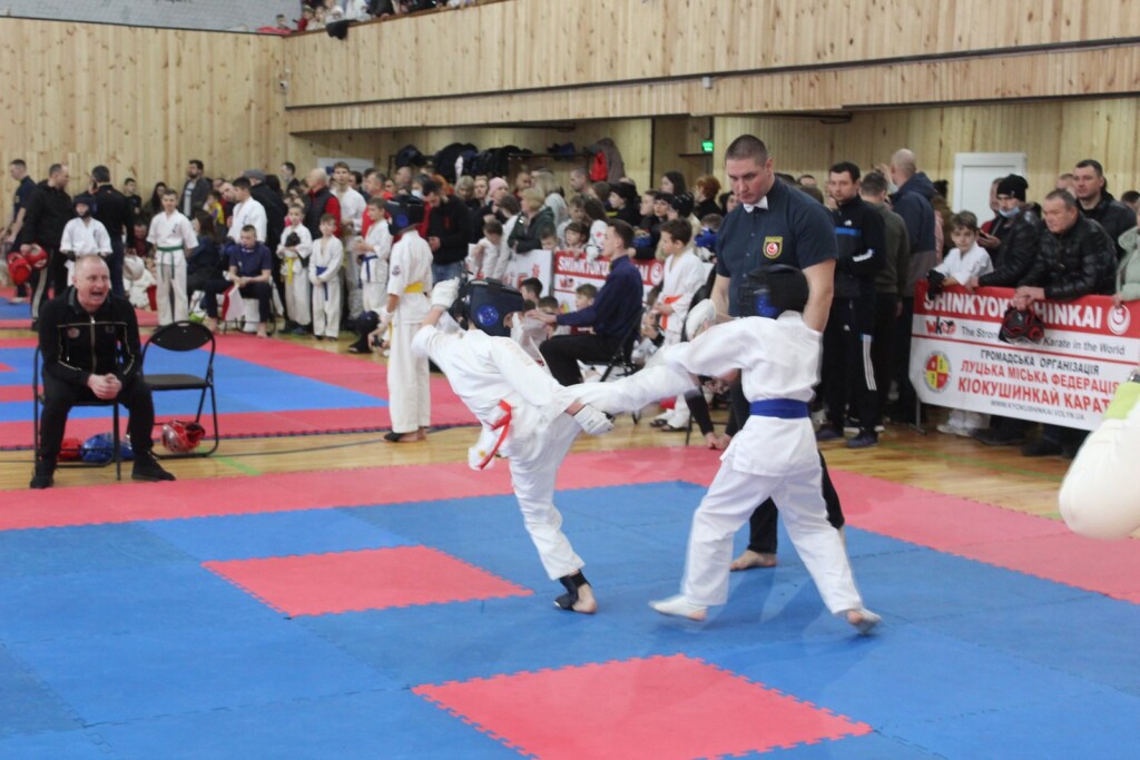 IMG-93660c1a9f8cf7721c618cdd3a3ab962-V