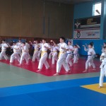 IMAG1507