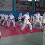 IMAG1510
