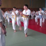 IMAG1520