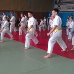 IMAG1527