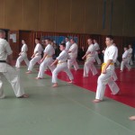 IMAG1528