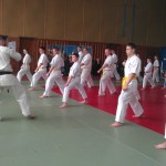 IMAG1529