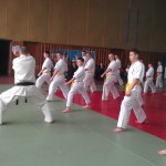 IMAG1531