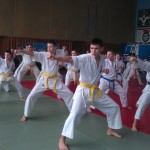 IMAG1533