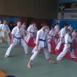 IMAG1536