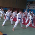 IMAG1537