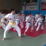 IMAG1540