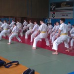 IMAG1541