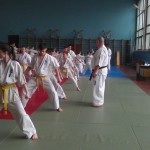 IMAG1546