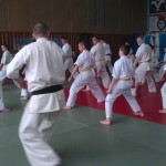 IMAG1551