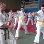 IMAG1554