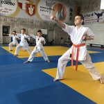 C33B4569-0663-4D52-A9BB-01944F386003