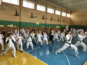 487E7B09-AB2F-47AA-85C3-9E8C5EE535A7