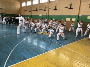 58D07372-BA38-4729-9B72-488FFBB54D10