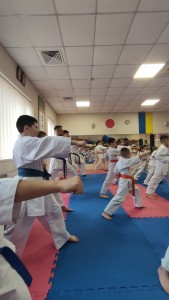 6DD421FC-B198-4848-A090-8F6F44419B91