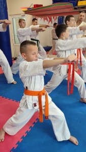 8C5C8628-ED4F-4AE9-9EA5-1DE7D0C7D268