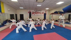 97AA43B6-9C83-463C-85BF-66D7A29A1AE7