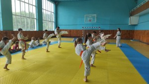 2BF05376-CB86-46BA-9E16-49A2D87CF1F0