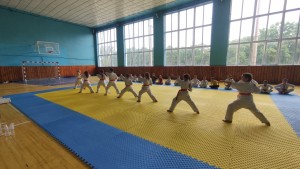 9B568343-D89F-41D7-A36F-D8EC2E36C954