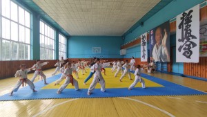 B132EF41-EC96-43C3-8B10-AAE1A9018F4A