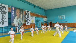 D49E938F-9E79-400F-974C-6DEAA53AF8A5