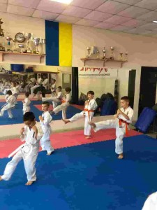 A3937727-E489-44C7-B831-5D8211659E60