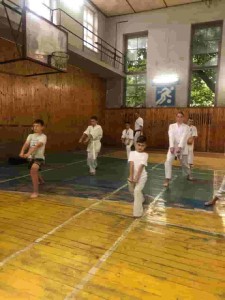 8DB7F583-C960-4950-9D68-8DCC1BC53E7A