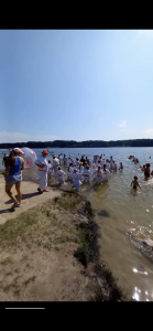 175B298D-4EB3-41B4-893A-80E478F252B9