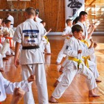 88F54103-3222-4218-B8C2-09C874F9CF65