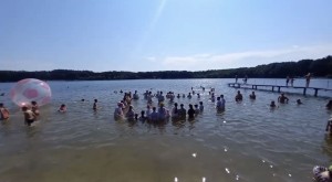 DF20173A-C100-4E20-A46E-395DBAE4E902