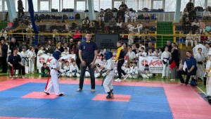 557D2633-6C96-46AC-8026-6075779EE209