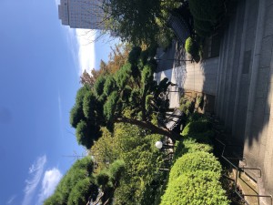 580C0979-CCFA-4320-844E-93C57C993590