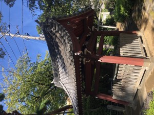 7305613A-2762-46B9-BC10-6D888563D93C