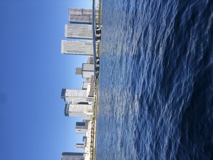 A91F0453-DFAD-46E3-8F36-7BBB8C419C83