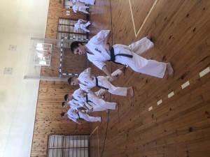 FC176C40-32B6-4A93-B900-9FA6F720FFC4