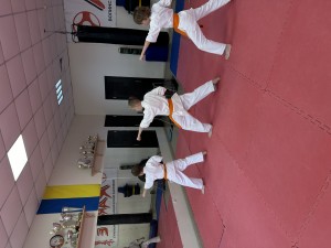 IMG_3514