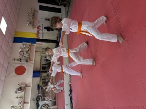 IMG_3518