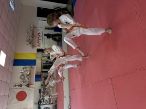IMG_3519