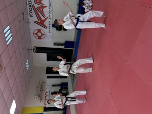 IMG_3538